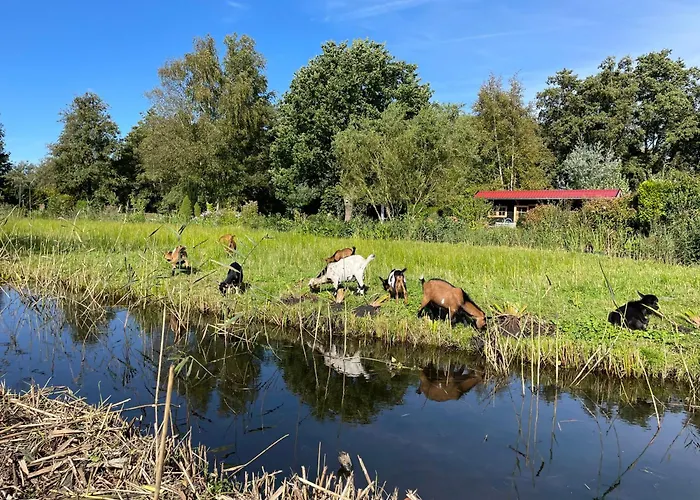 Huisje Op De Dijk