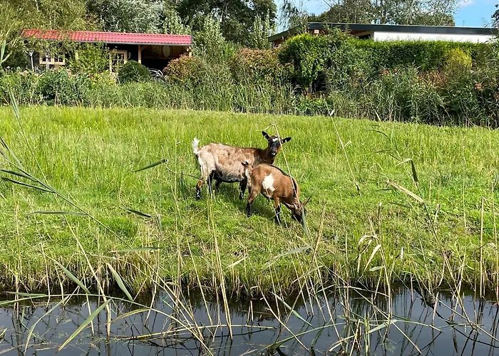 Huisje Op De Dijk