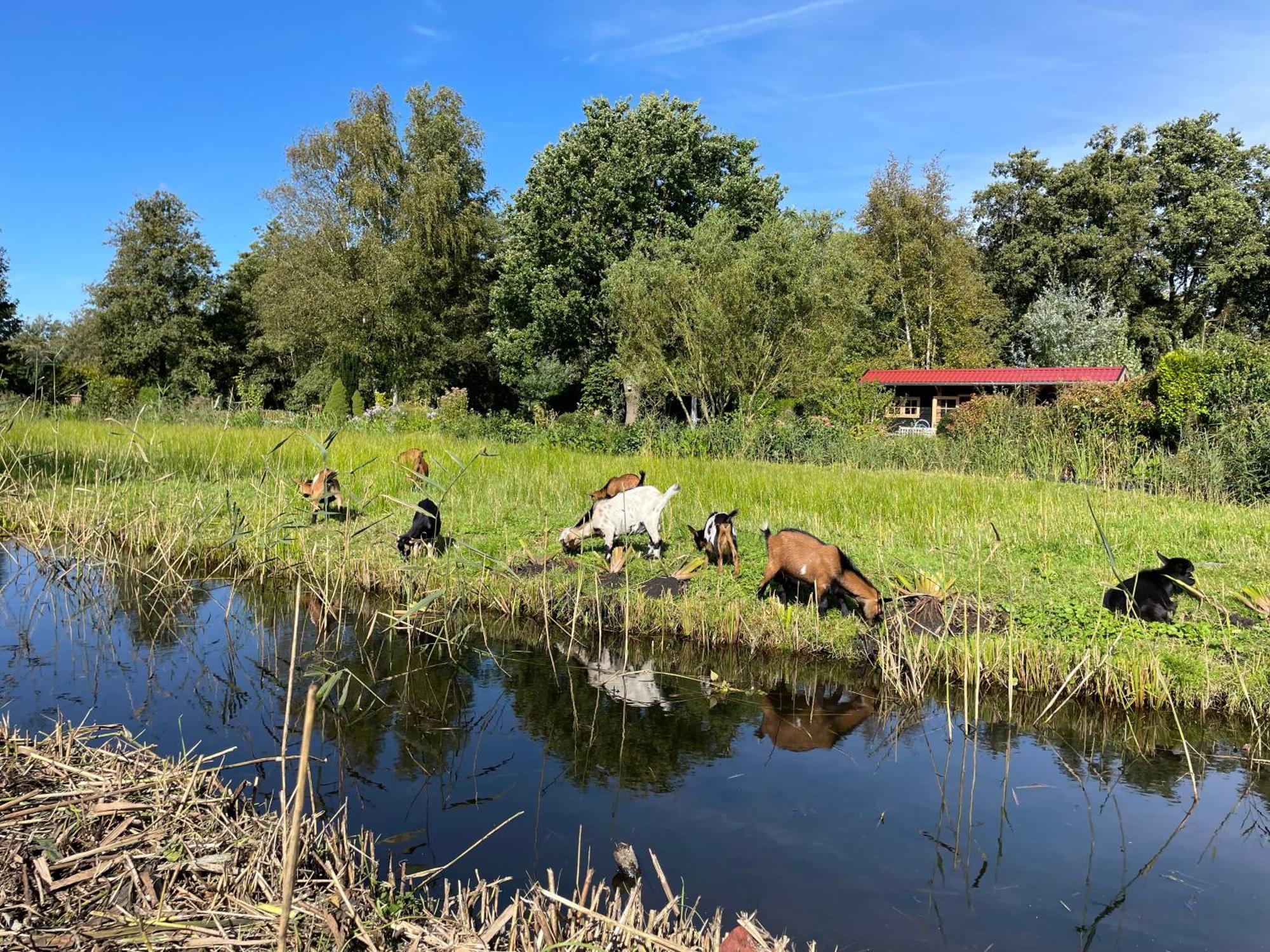 Apartment Op De Dijk Kortenhoef