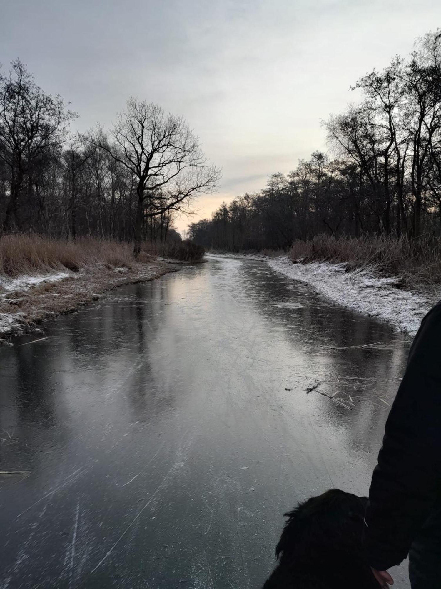 Op De Dijk